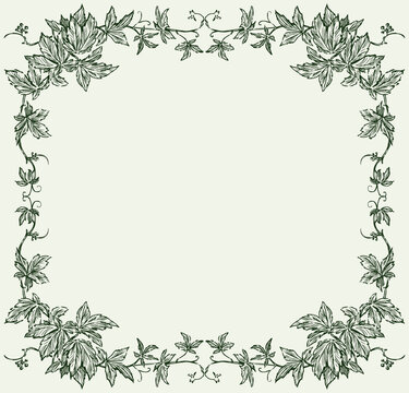 Vector image of decorative floral frame from grape vine sketches