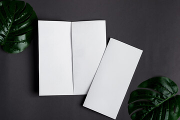 Paper mock-up brochures with natural tropical palm leaf.