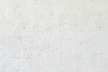 Rough Surface White Plaster Wall Texture