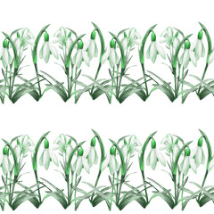 Spring background, watercolor seamless pattern of snowdrops.