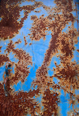 Corrosion metal texture on blue background. Oxydized iron with sticks of rust. Corroded grunge steel abstract structure	