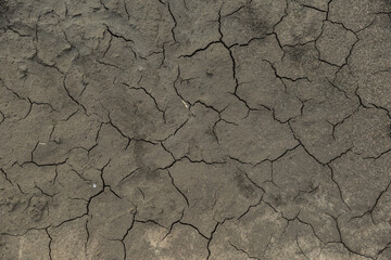 texture of dry cracked ground