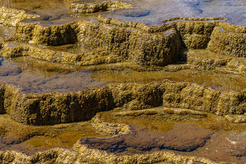 Mound Spring in the Mammoth Hot Springs Area, Yellowstone National Park
