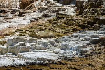Mound Spring in the Mammoth Hot Springs Area, Yellowstone National Park