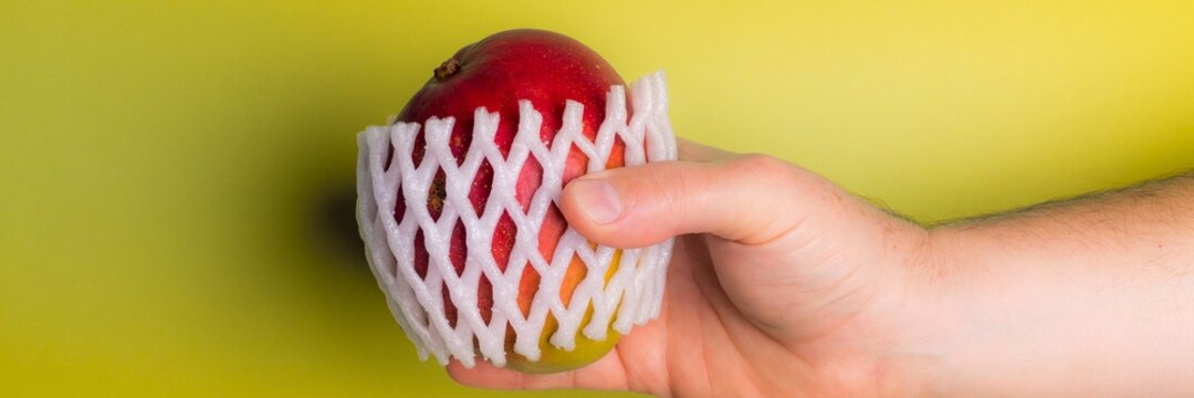 Homem branco segurando uma manga organica com protetor de isopor sobre o fundo amarelo manga