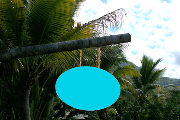 palm tree sign