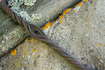 An old wooden log is pulled to a concrete beam with steel wire. There is moss and rust. Background....