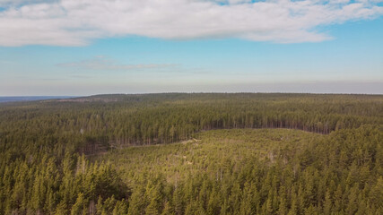 Aerial view of the Vuoksi river, the forest and the settlement in autumn day, Losevo, Leningrad Oblast, Russia