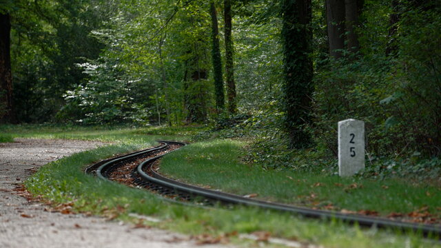 Geschwungene Schienen einer kleinen Parkbahn