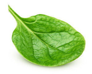 Spinach isolated on white background, clipping path, full depth of field