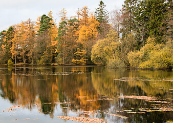 Autumn Reflections