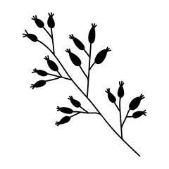 Stylized black outline of a branch of wild rose on a white background.