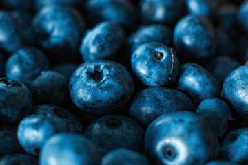 Blueberry berries close up. Summer vitamins A
