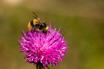 Wanderung von Burgberg auf den Gr&uuml;nten