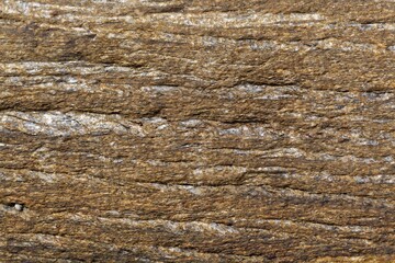 Texture of the surface of a mica schist