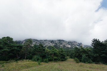 Beautiful mountains and wildlife around them on a Sunny day