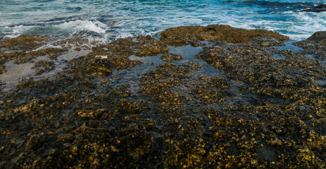 Una vacanza pugliese.