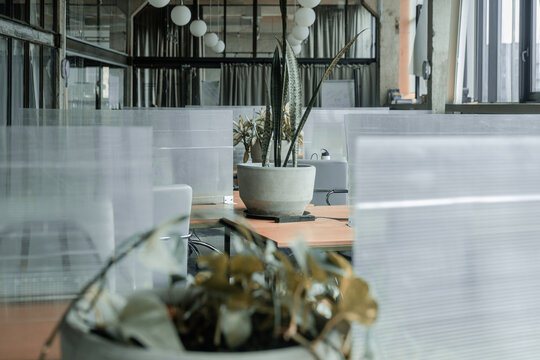 Co-working space with separated plastic boards between tables. Nnew normal, maintain social distancing. Freelance working place