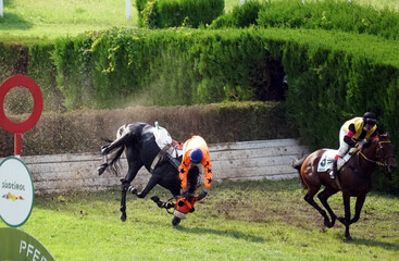 A jockey falling from a horse at the race while others running further.