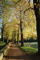 Naklejka premium Beautiful autumn day in Cologne, Germany