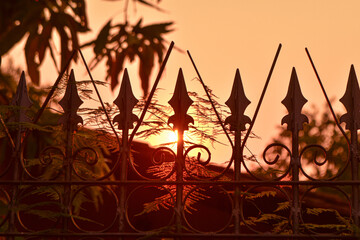 atardecer