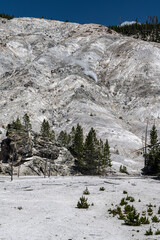 Roaring Mountain in the Yellowstone National Park