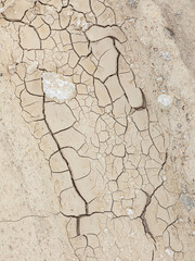 dried soil in the death valley
