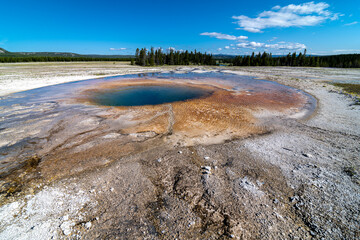 Opal Pool at the Grand Prismatic Spring, Yellowstone National Park
