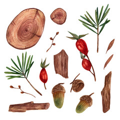 Autumn set of watercolors