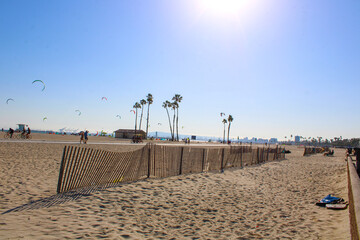 a shot of a sunny day at the beach with people flying kites and blue sky and palm trees and people riding bikes at Belmont Kite Beach in Long Beach California USA