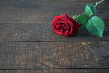 Red rose with green leaves on old brown rustic wooden board. Copy space.
