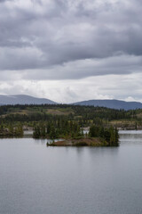 Beautiful View of Lewes Lake during a cloudy summer day. Located near Whitehorse, Carcross, Yukon, Canada.