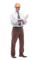 architect looking at the drawing. isolated on a white background