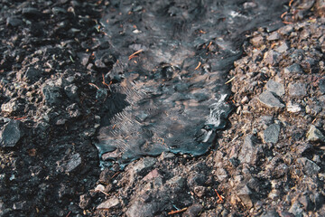 Fresh new asphalt poured onto the road in the forest.