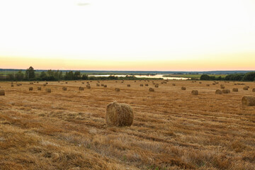 haystacks on the agricultural field at sunset