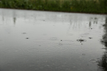 raindrops in a puddle outdoor at summer
