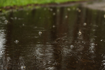 raindrops in a puddle outdoor at summer