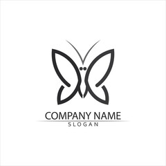 Beauty Butterfly icon design logo and animal vector