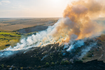 Fototapeta na wymiar Burning dry grass and trees. Natural disaster in forest, aerial view from drone. Summer wildfire. Fire in nature with smoke.