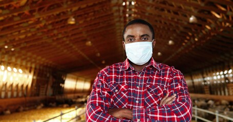 Portrait of handsome cheerful man in medical mask and motley shirt standing in stable of sheep farm...