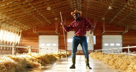 Cheerful funny young African American man farmer in hat, jeans and motley shirt holding stick and bucket and dancing in shed, flock of sheep. Joyful male shepherd having fun and dance move in stable.