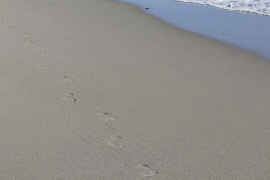impronte di bambino sulla sabbia
