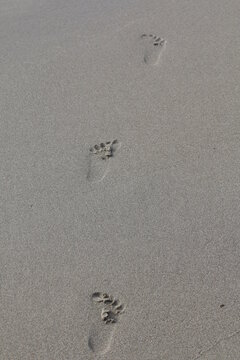 impronte di bambino sulla sabbia