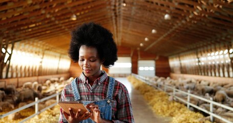 Young African American pretty woman using tablet device and walking in farm stable. Female farmer...