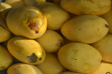 Yellow ripe mangoes display at the market