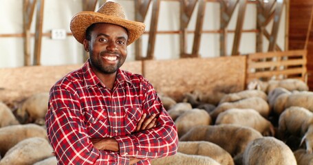 Portrait of young handsome African American man farmer in hat looking at camera, crossing hands and smiling in barn with livestock. Happy cheerful male shepherd smile in stable. Dolly shot. Zooming.