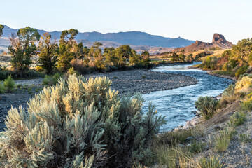 Rock outcropping over the river with trees and shrub on the banks and mountain in the background, South Fork Shoshone River, Cody, Wyoming