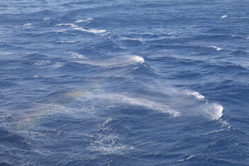Fototapeta premium arcobaleno sopra le onde in mezzo al mare
