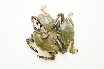 Fresh Crab isolated on white background,Seafood crab on ice