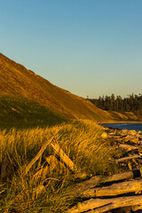 Bluffs at Ebey's Landing  on Whidbey Island Washington at Sunset